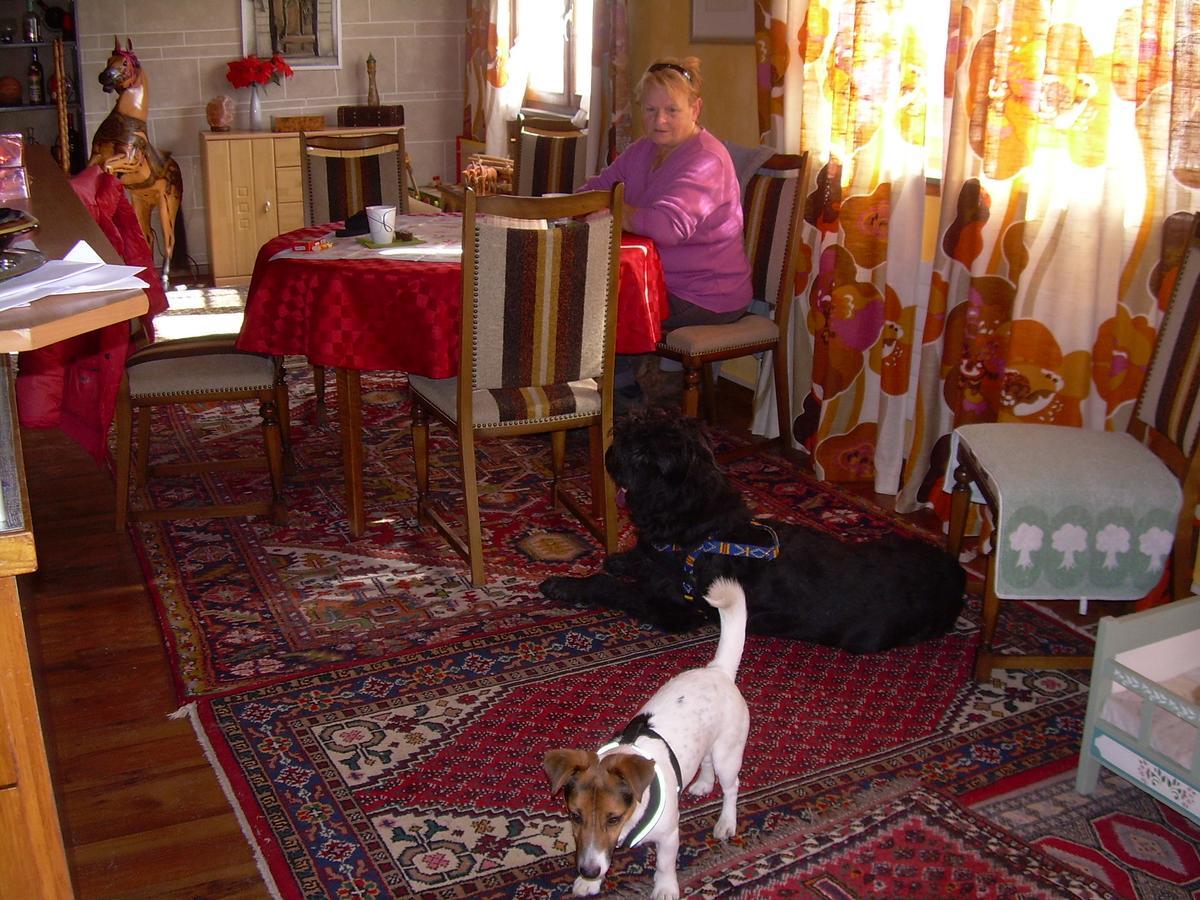Bed and Breakfast Wohlfuehloase Fuer Mensch Und Hund Uzwil Экстерьер фото