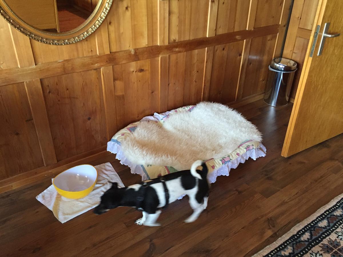 Bed and Breakfast Wohlfuehloase Fuer Mensch Und Hund Uzwil Экстерьер фото