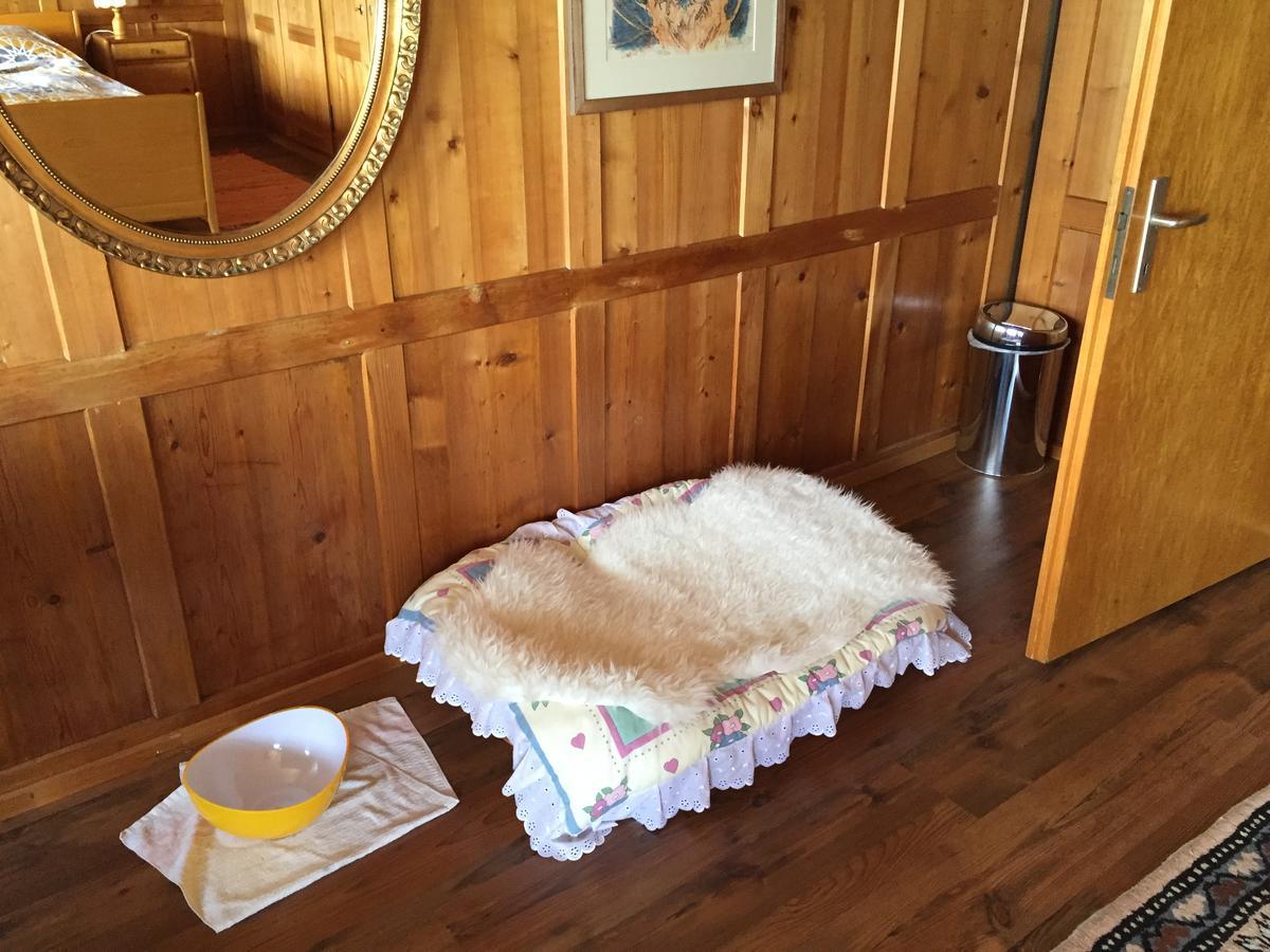 Bed and Breakfast Wohlfuehloase Fuer Mensch Und Hund Uzwil Экстерьер фото
