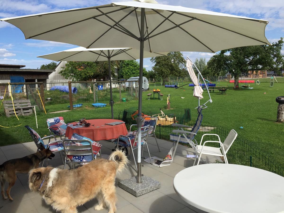 Bed and Breakfast Wohlfuehloase Fuer Mensch Und Hund Uzwil Экстерьер фото